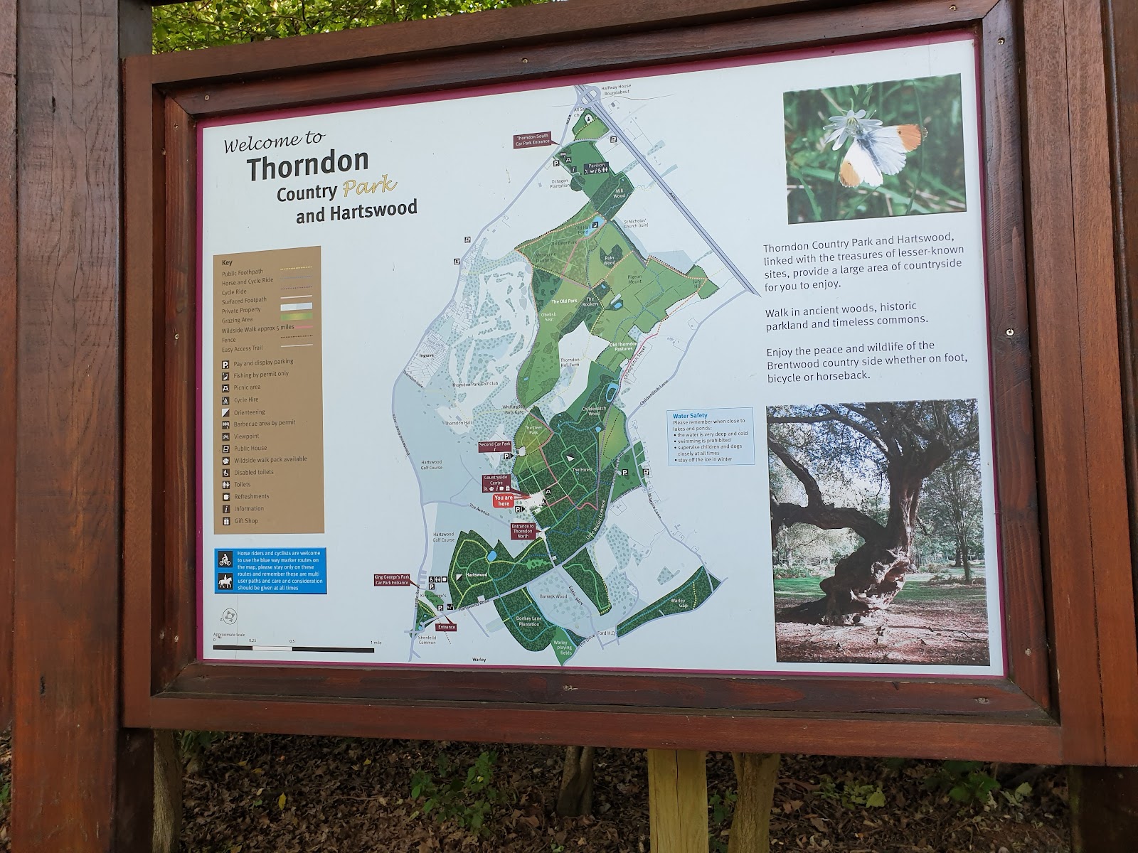 Thorndon Country Park