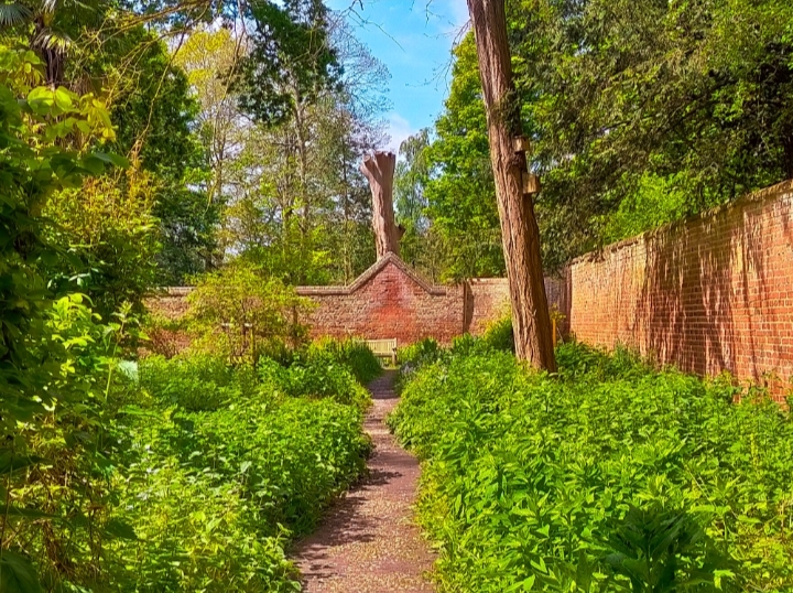 Warley Place Nature Reserve