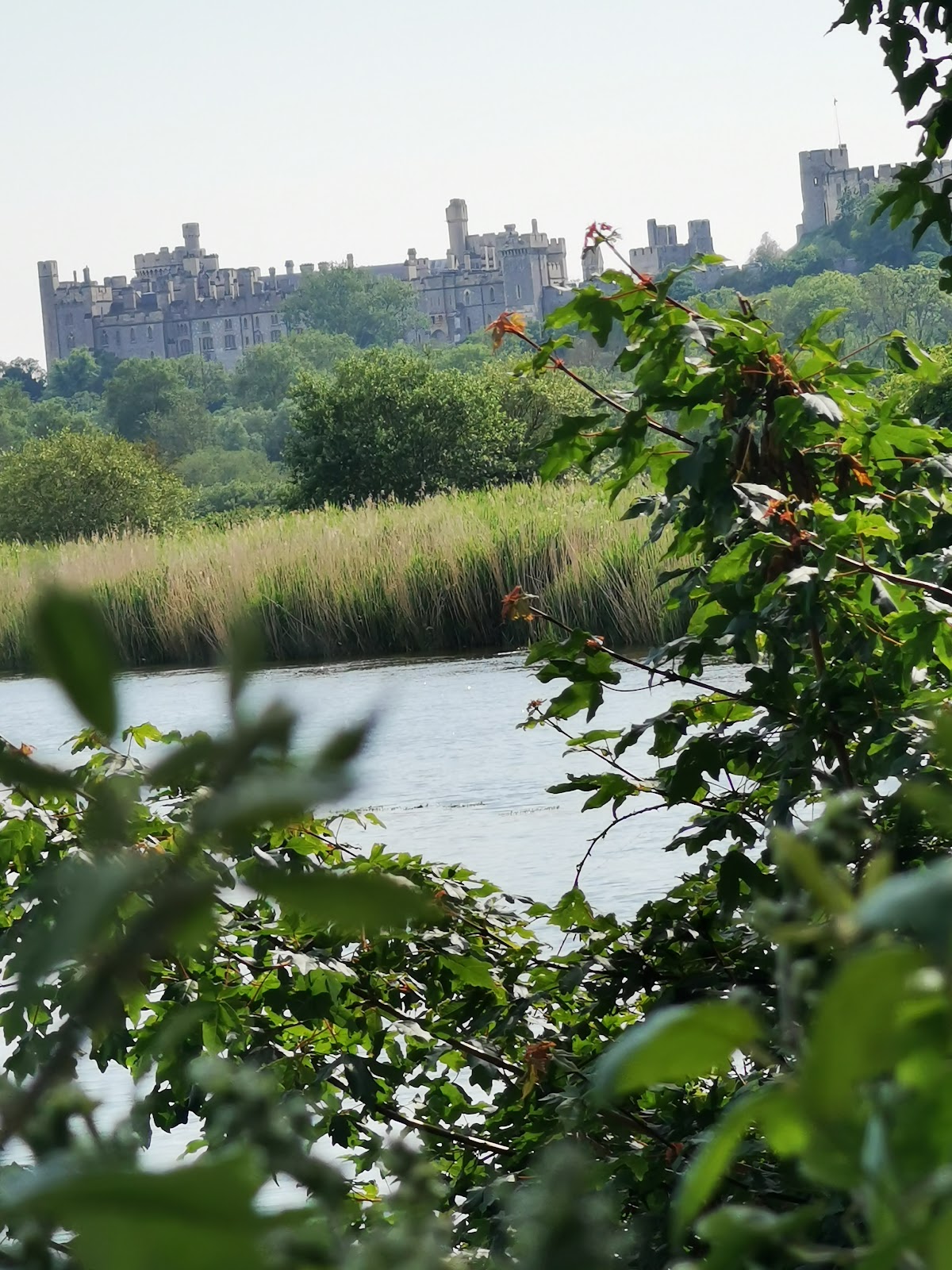 Arundel