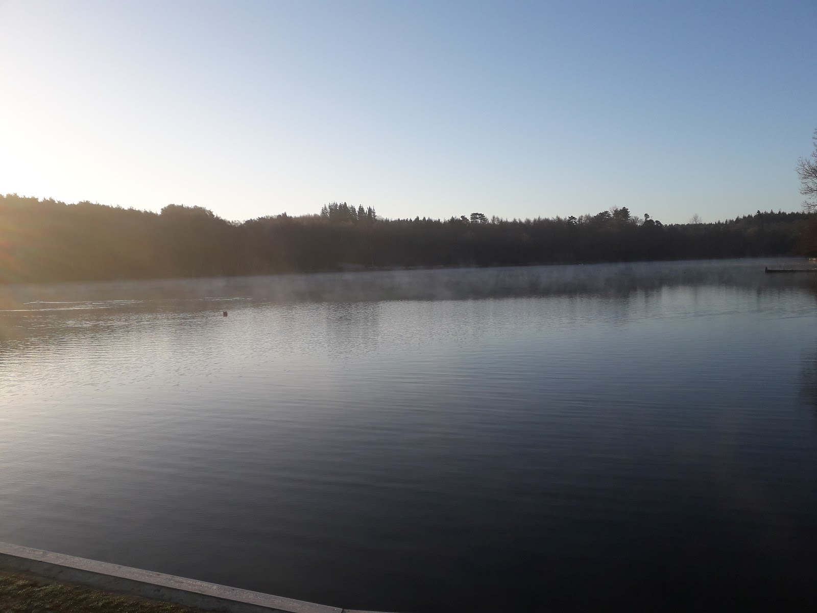 Crawley
