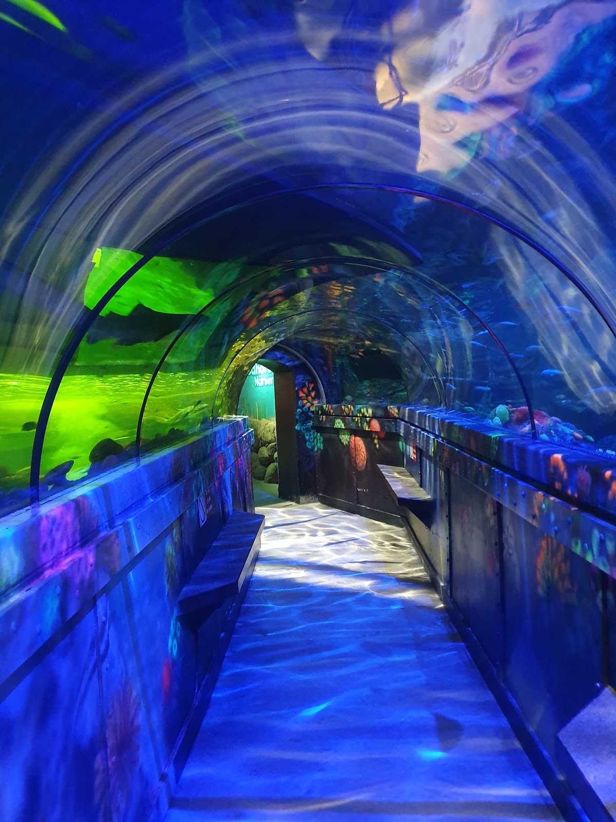 SEA LIFE Brighton