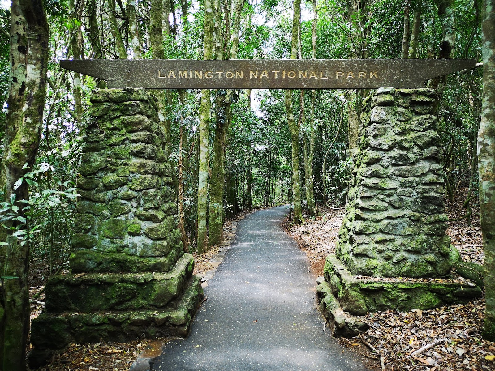 Lamington National Park