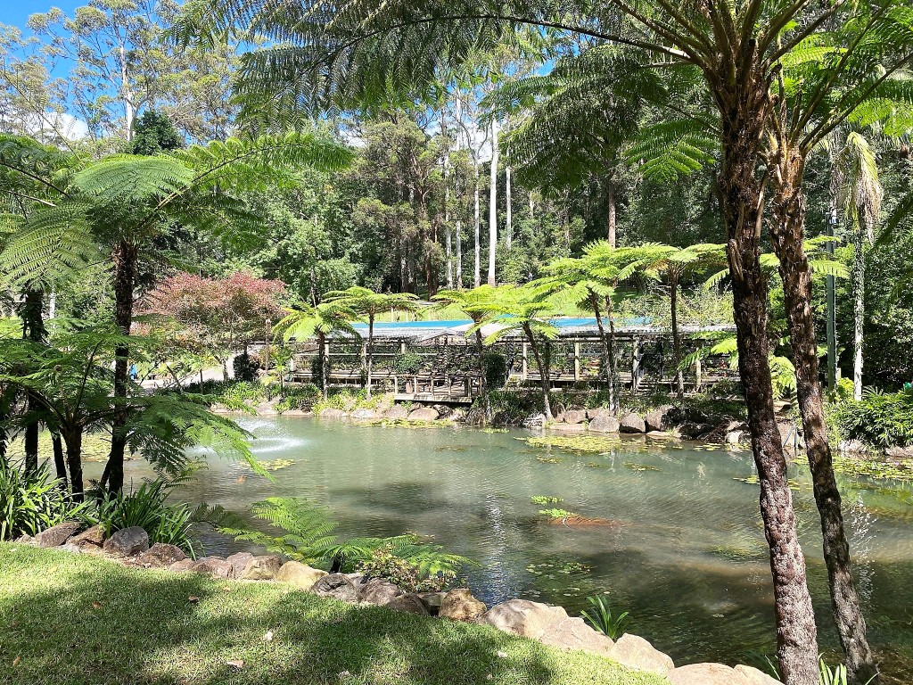 Tamborine Mountain