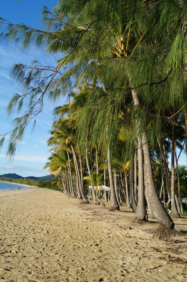 Palm Cove