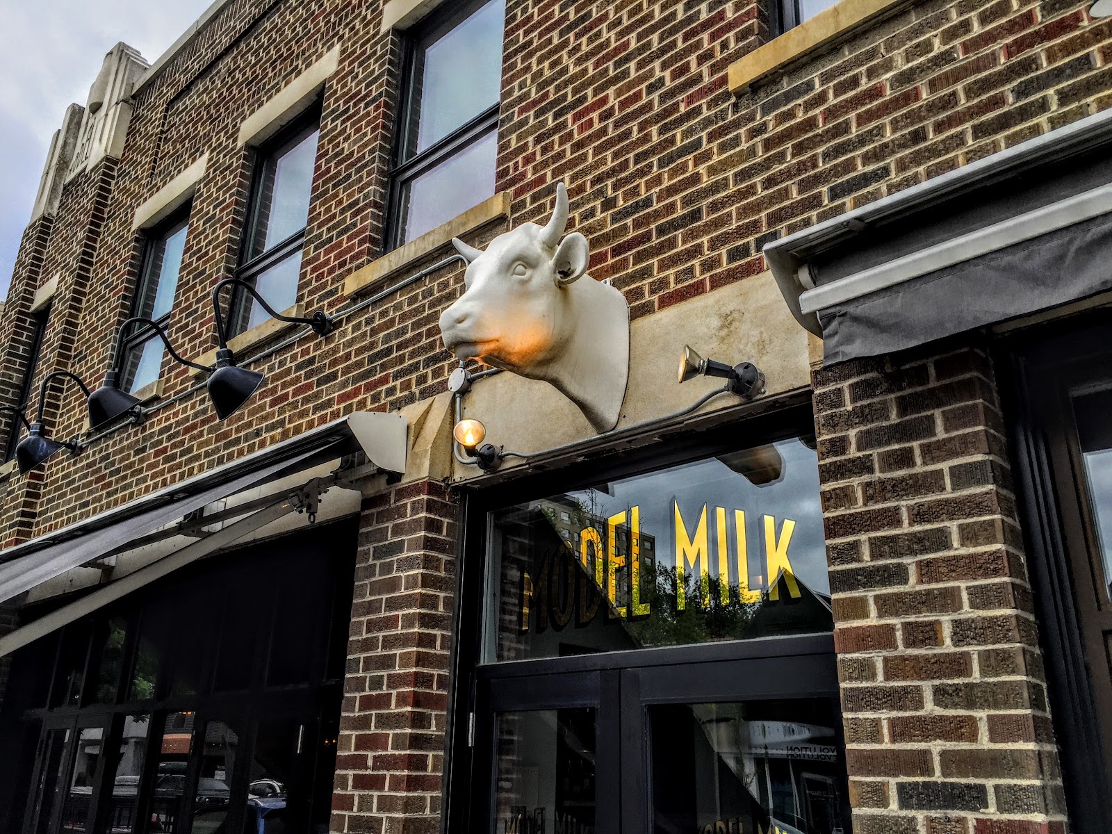 Model Milk