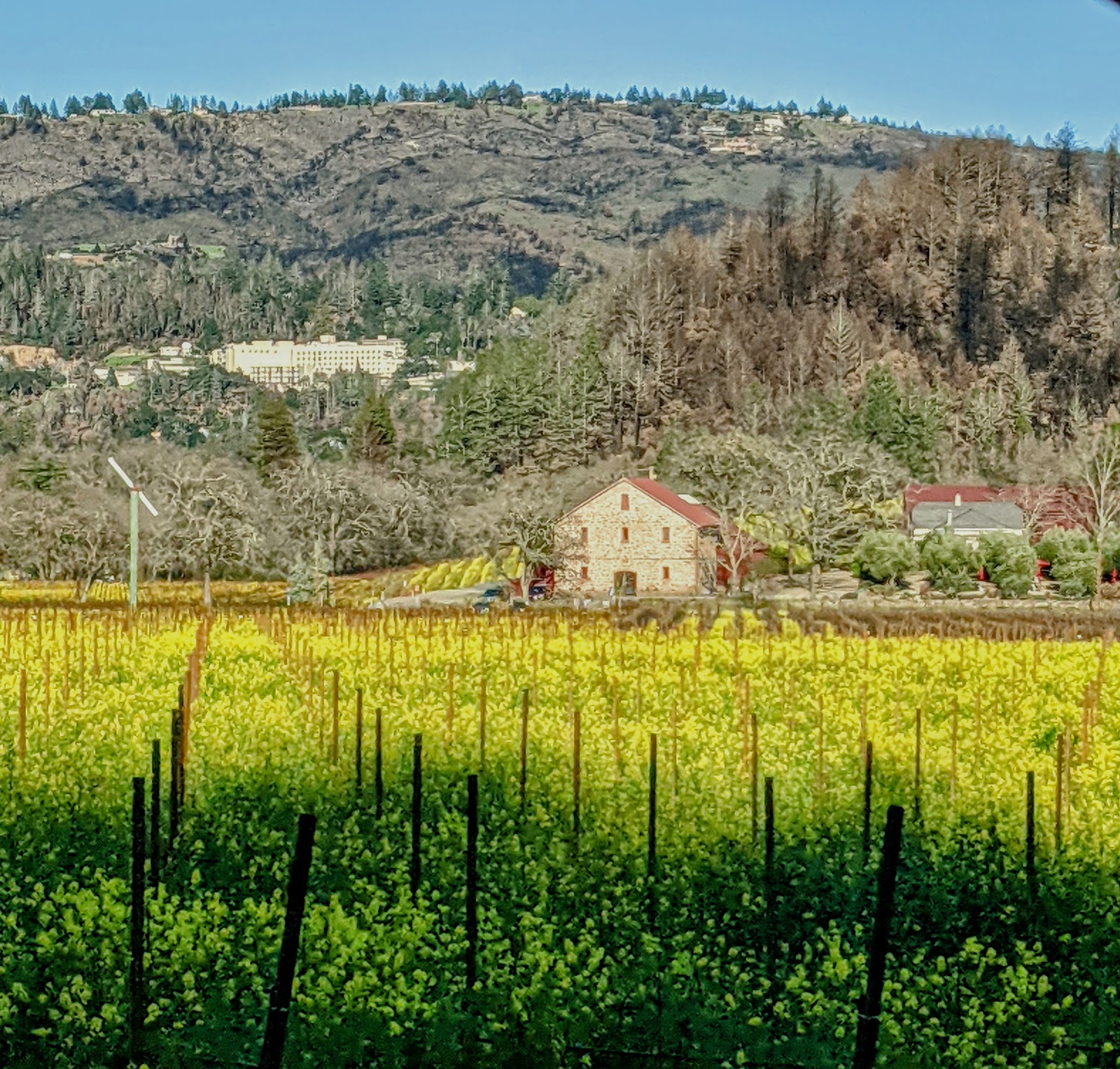 Napa County
