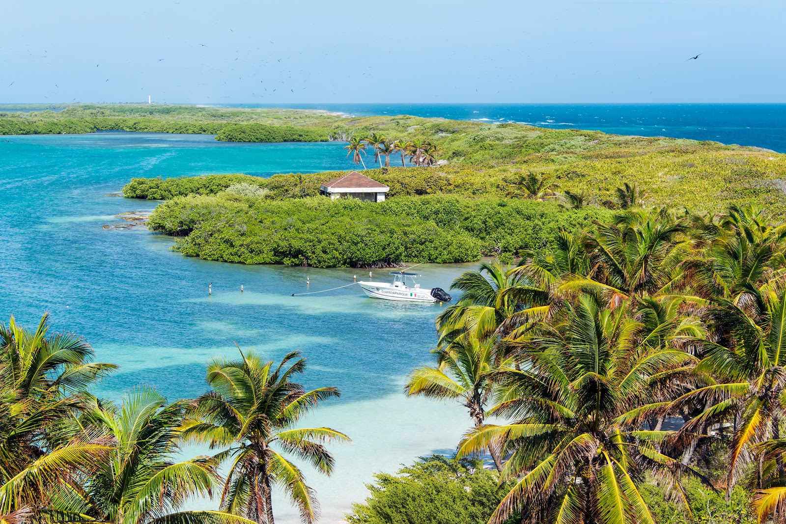 Isla Contoy