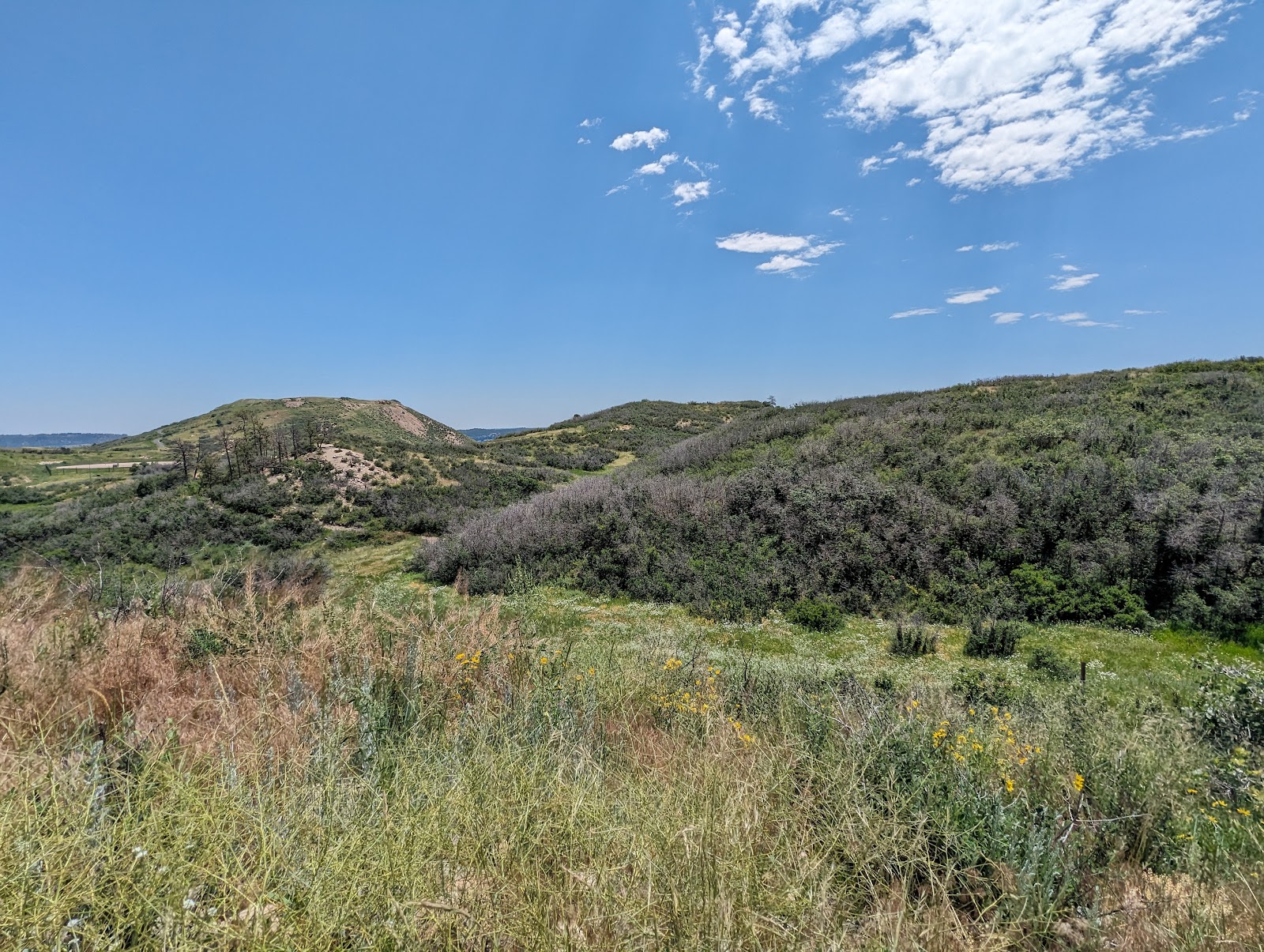 Ridgeline Open Space