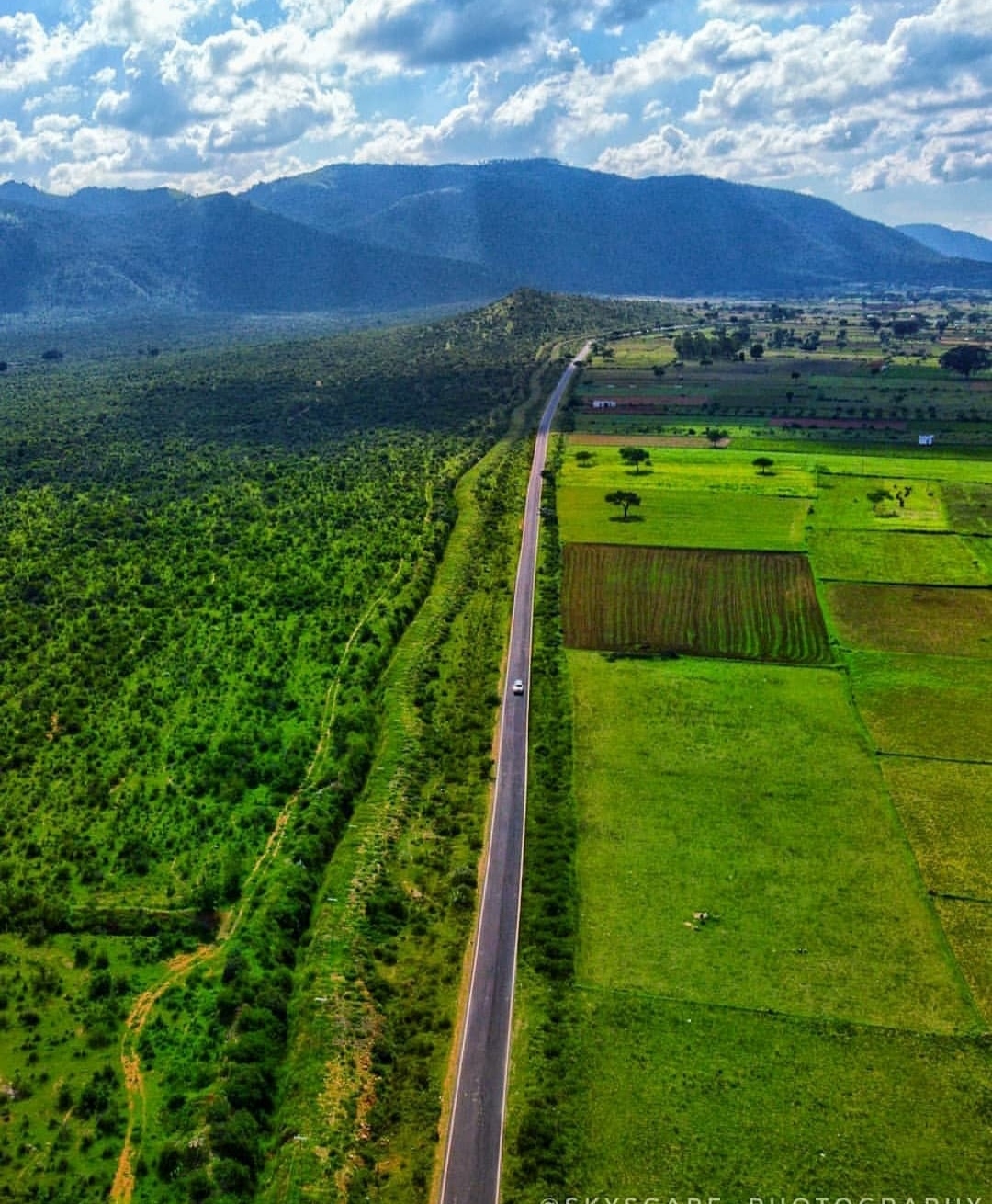 Gopalswami Hills