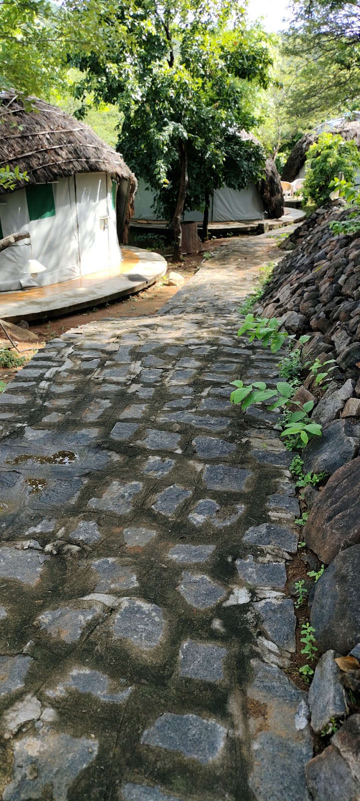 Gopinatham Mystery Trails