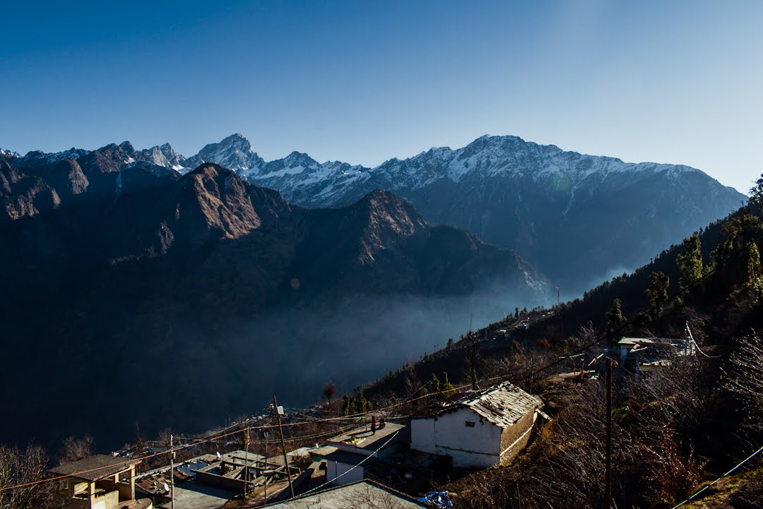 Auli