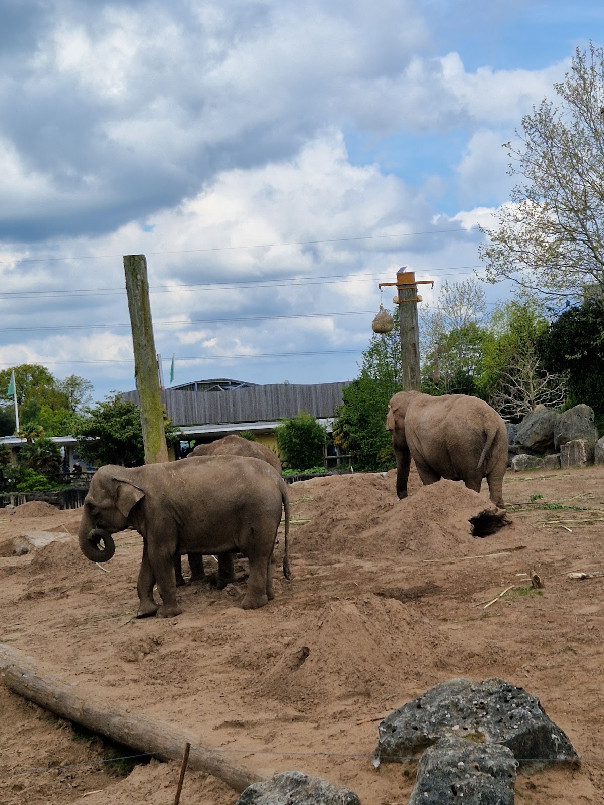 Chester Zoo