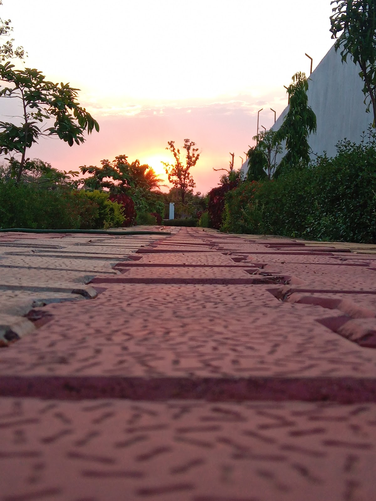 Rajiv Smriti Van Vatika Saver