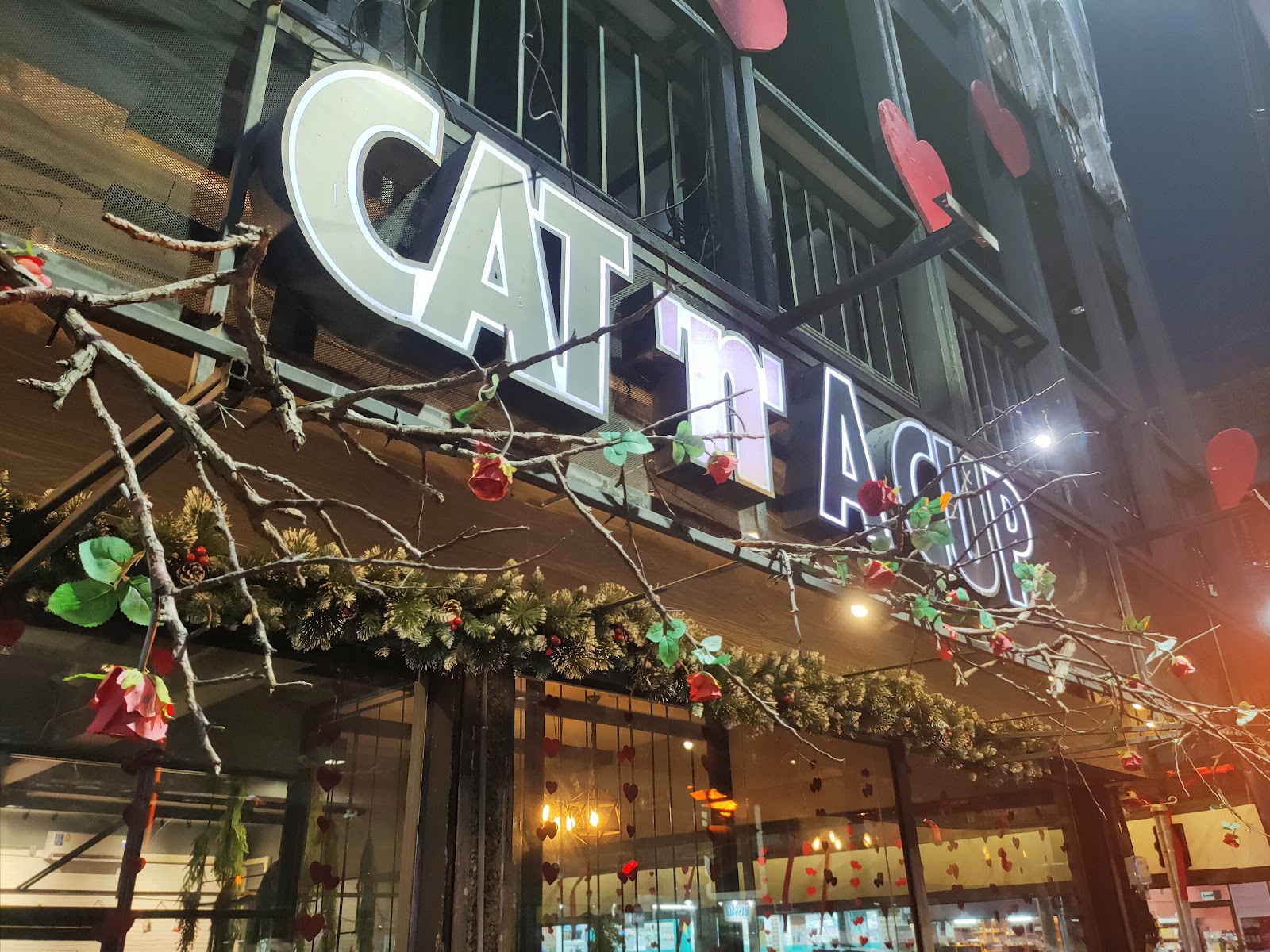 CAT 'n' A CUP Cat Cafe