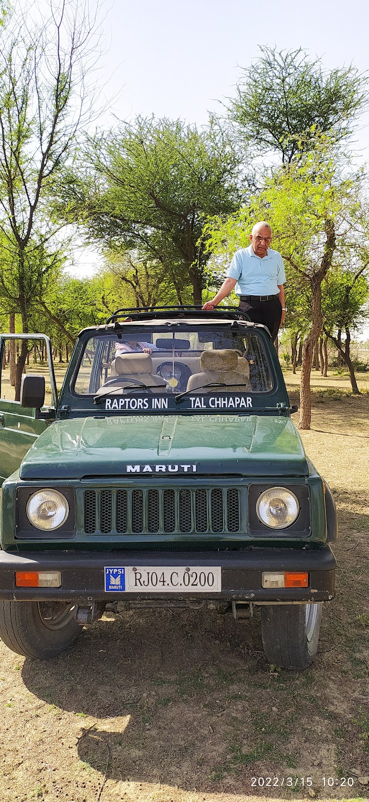 Tal Chappar Blackbuck Sanctuary- safari