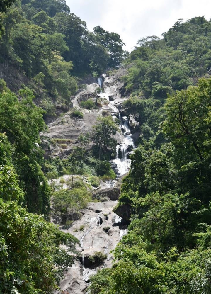 Siruvani Waterfalls