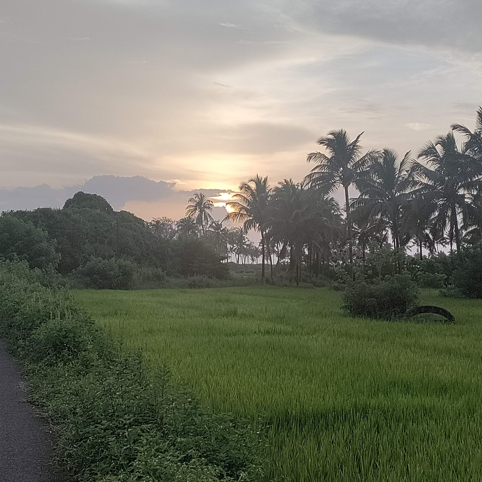 Sunset Beach Road