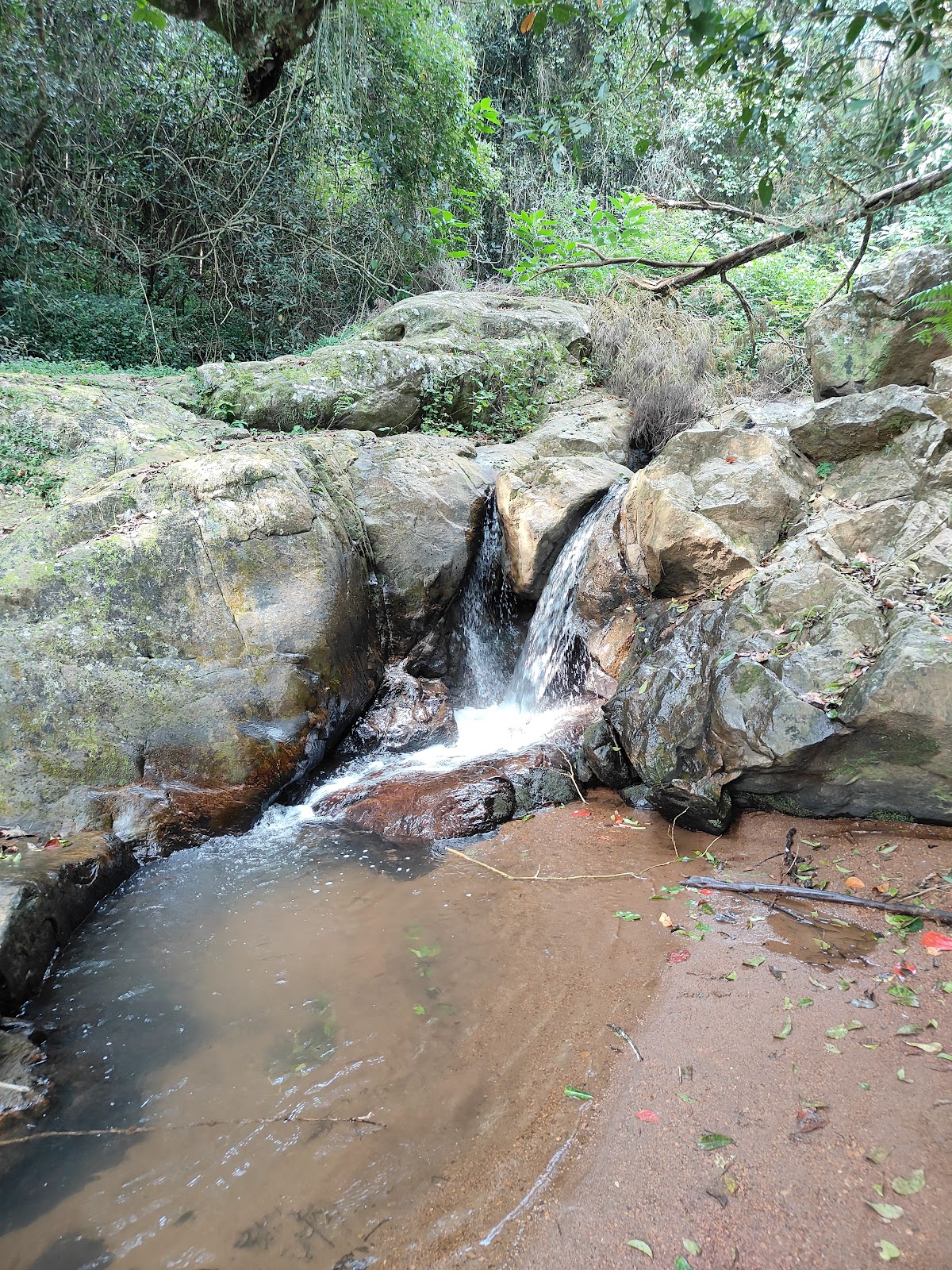 Hidden Valley Coonoor