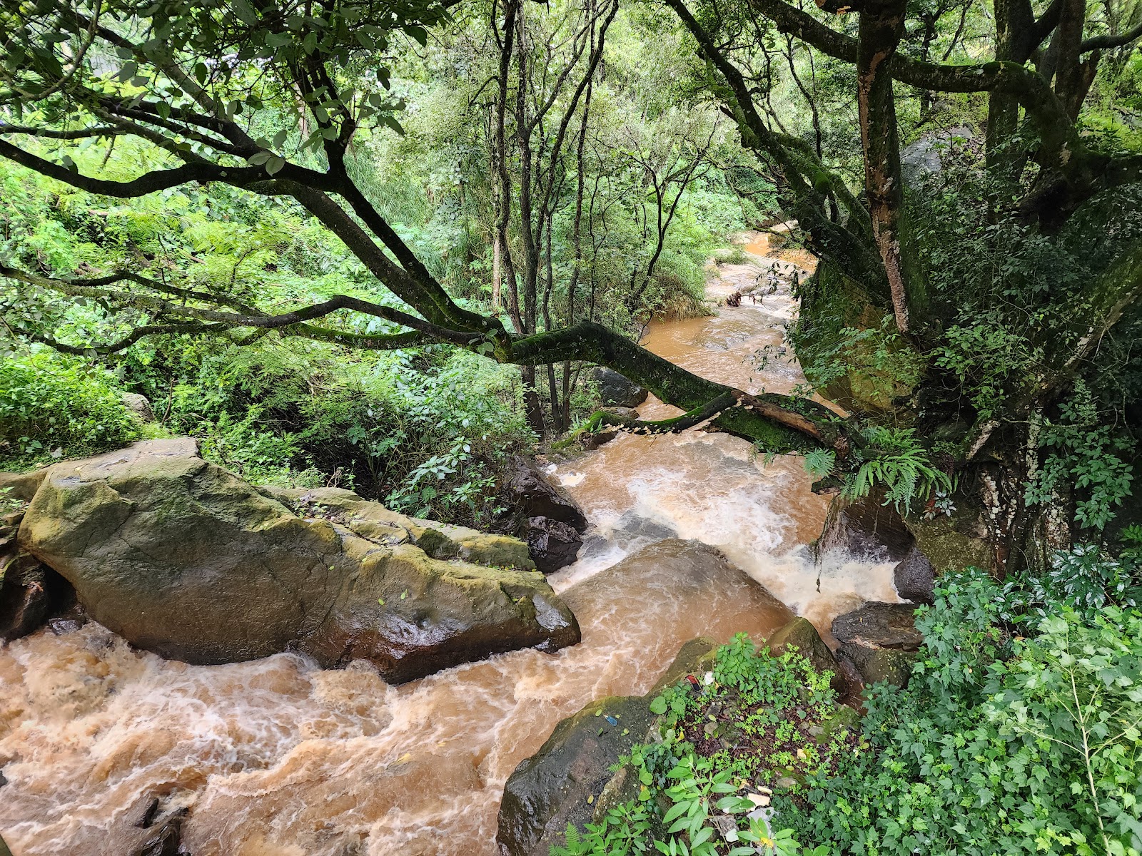 Laws Falls