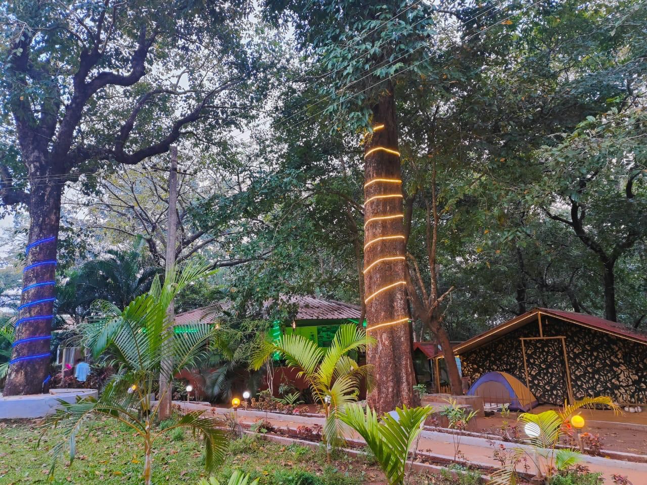 Nature Nest Homestay