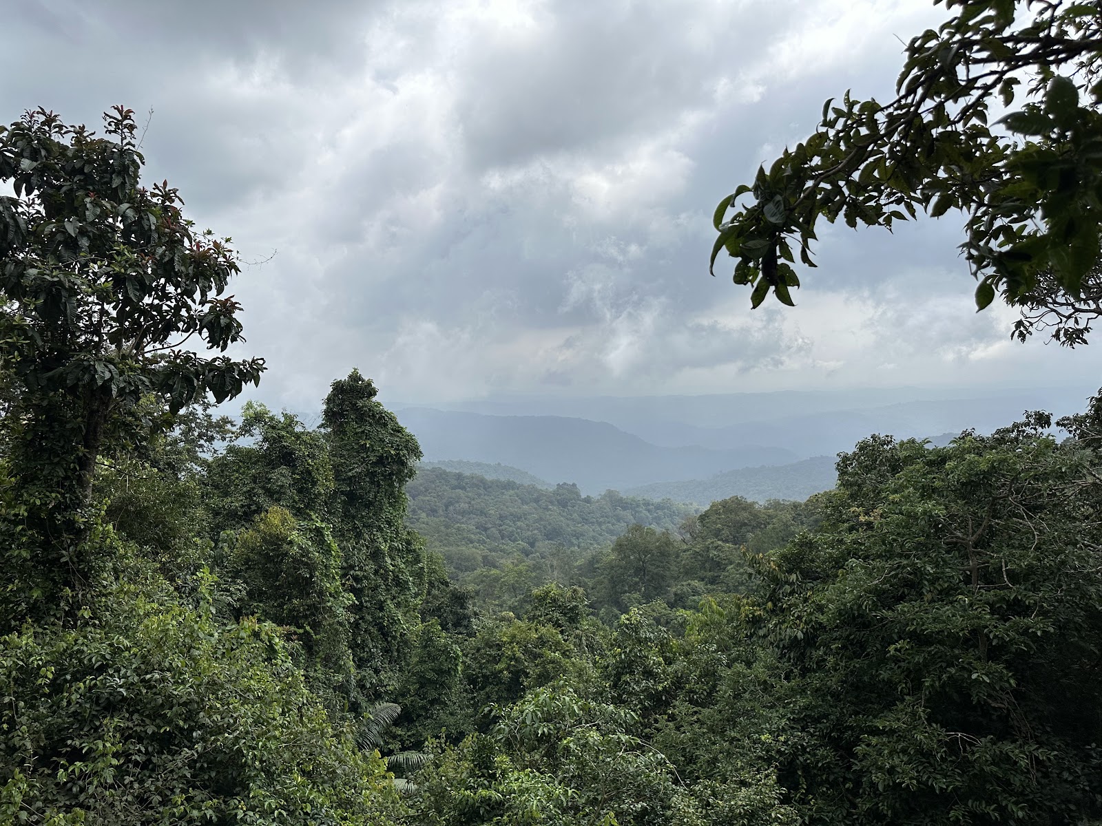 Anshi National Park
