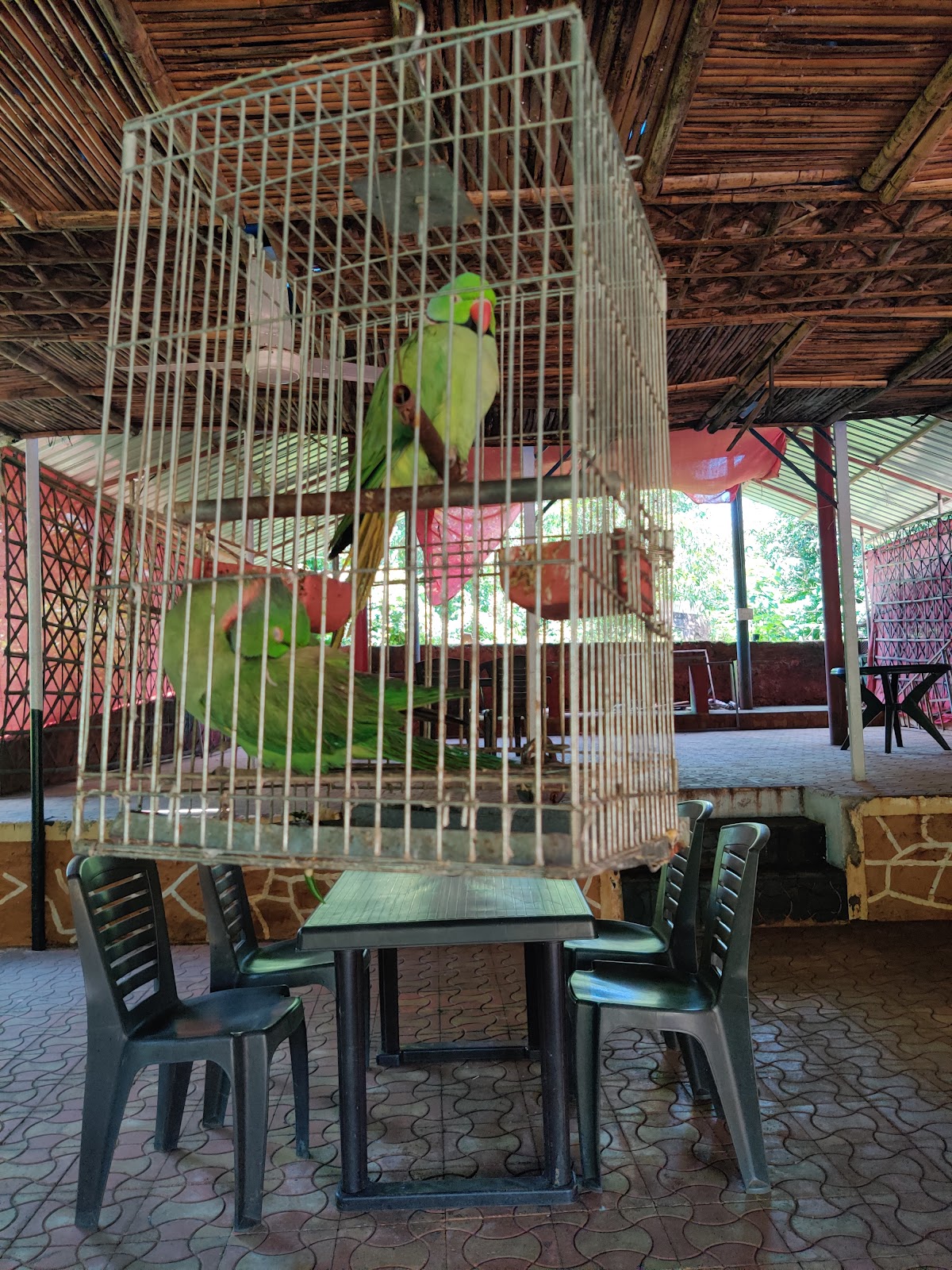 Surali Garden - Best Family Restaurant in Dapoli
