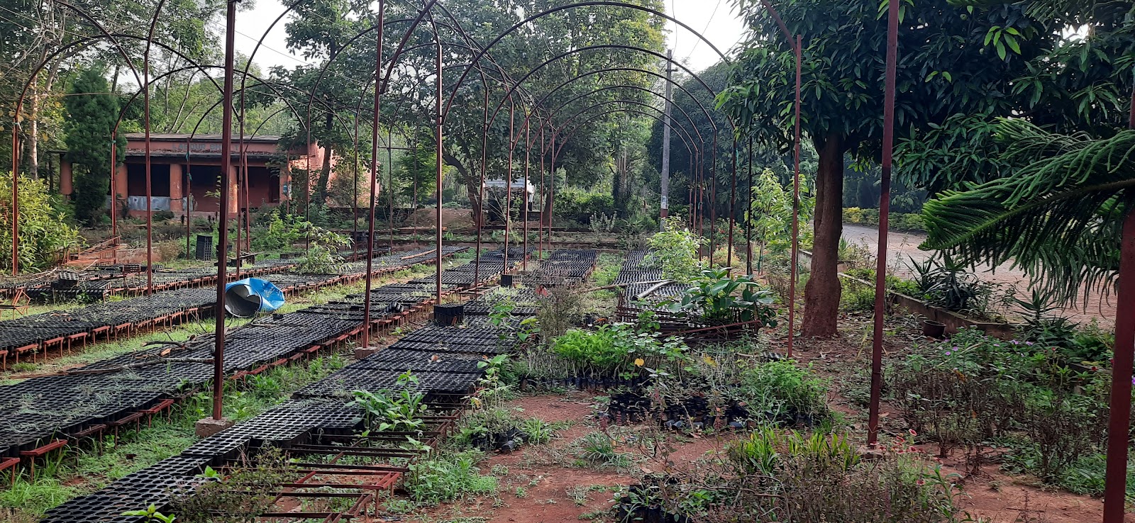 Phulbani