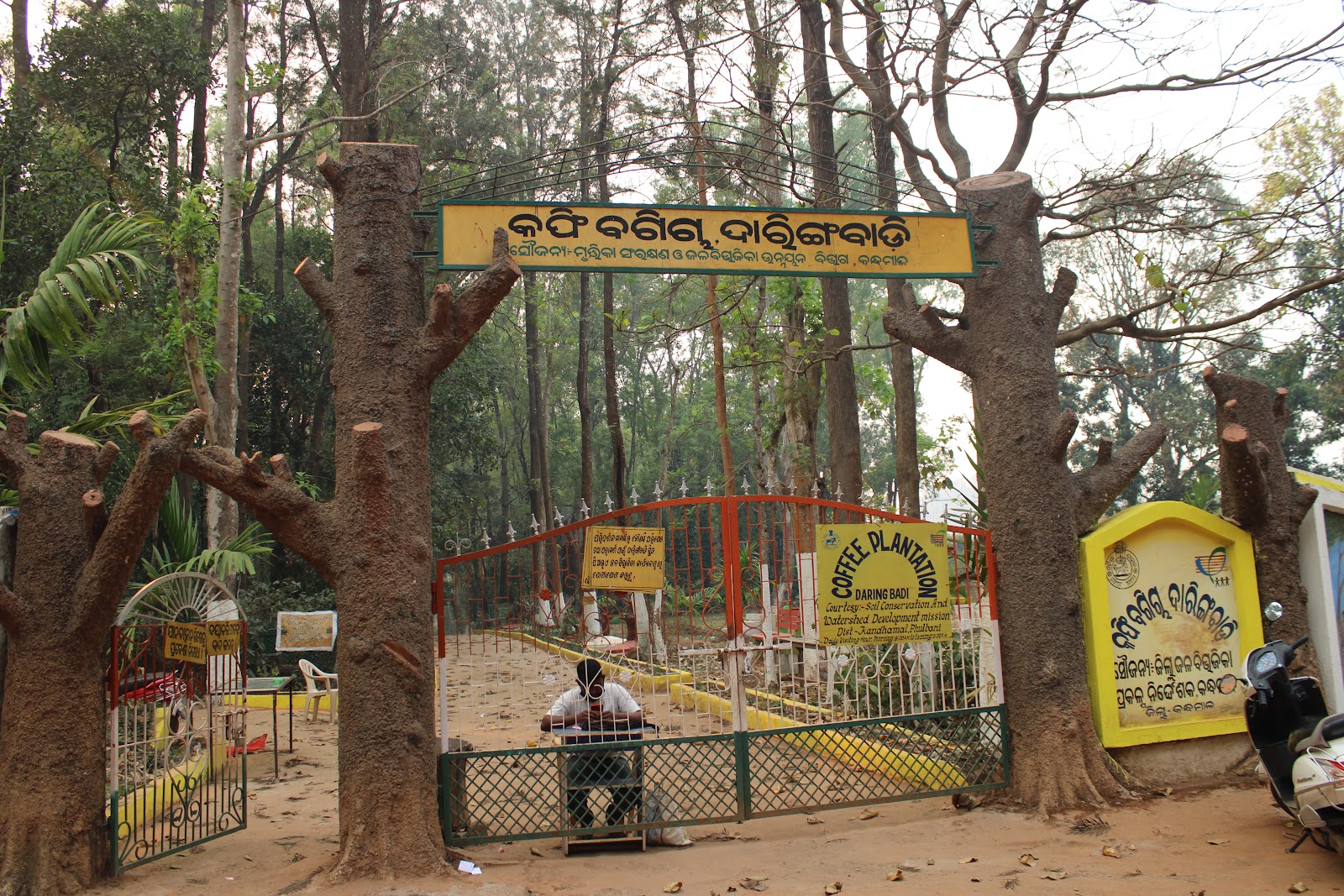 Coffee Garden