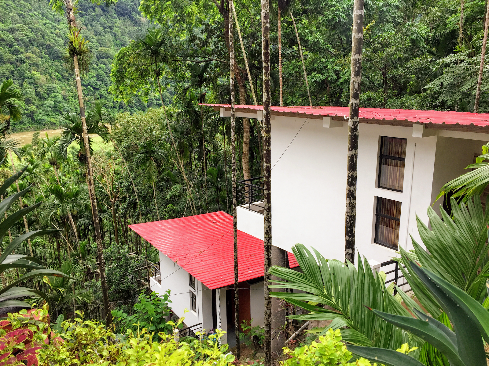 Betelnut Resort
