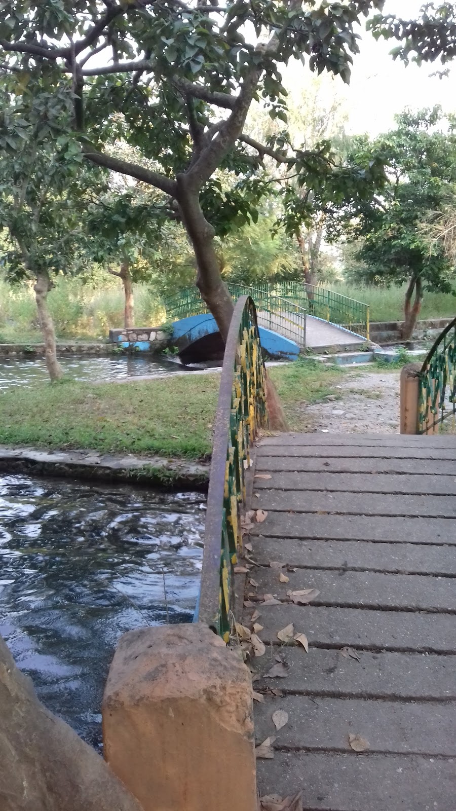 Lachhiwala Range