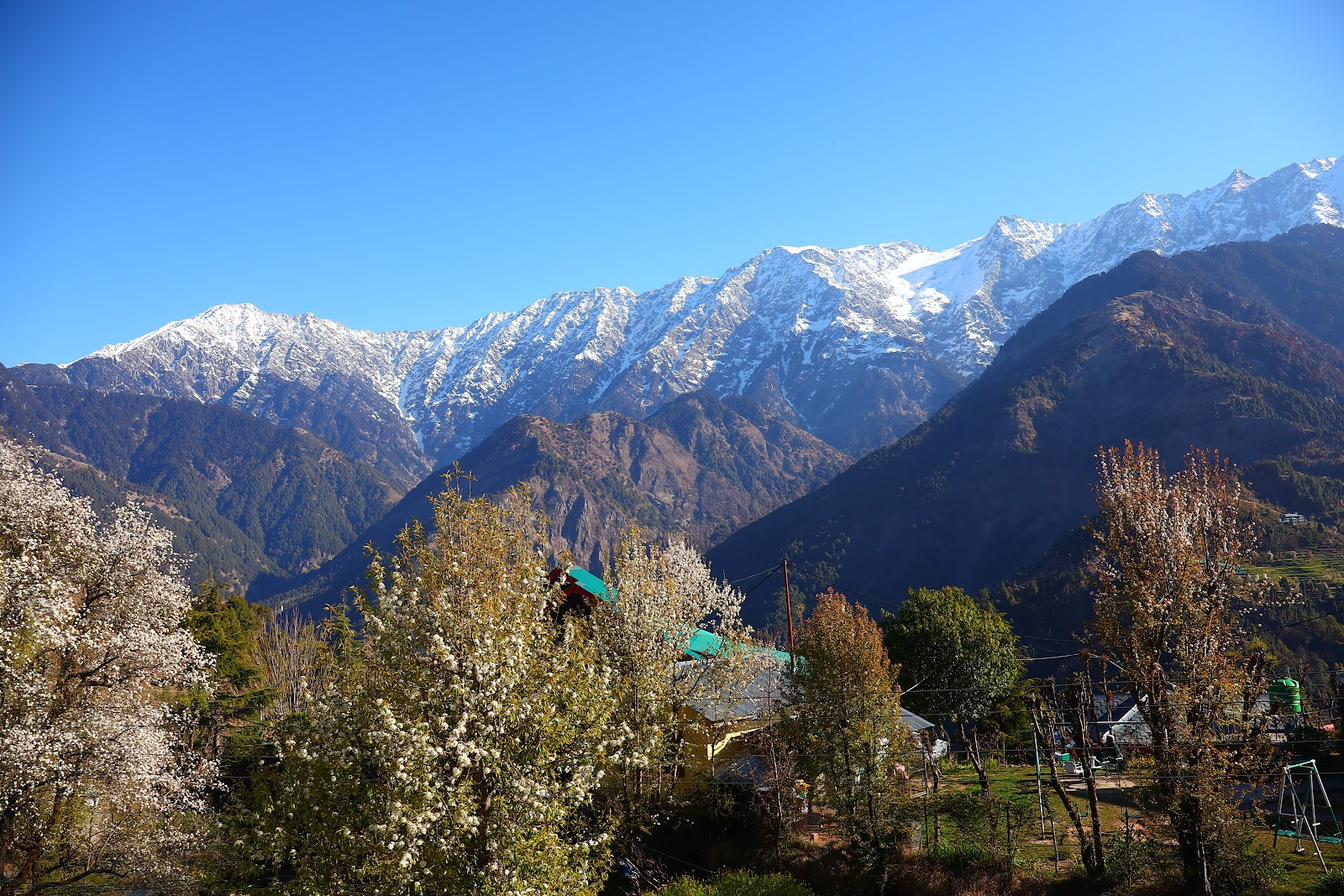 Naddi View Point