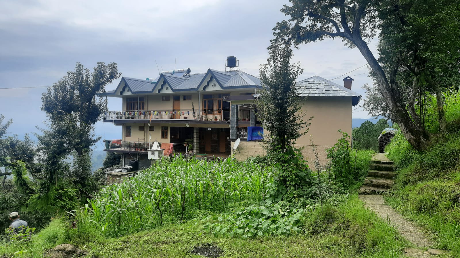 Sunny home stay