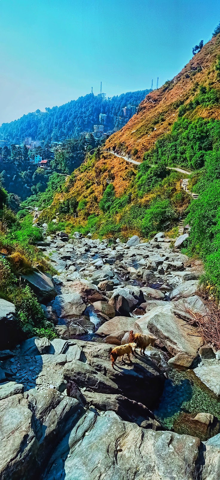 Bhagsu Nag Waterfall Pathway