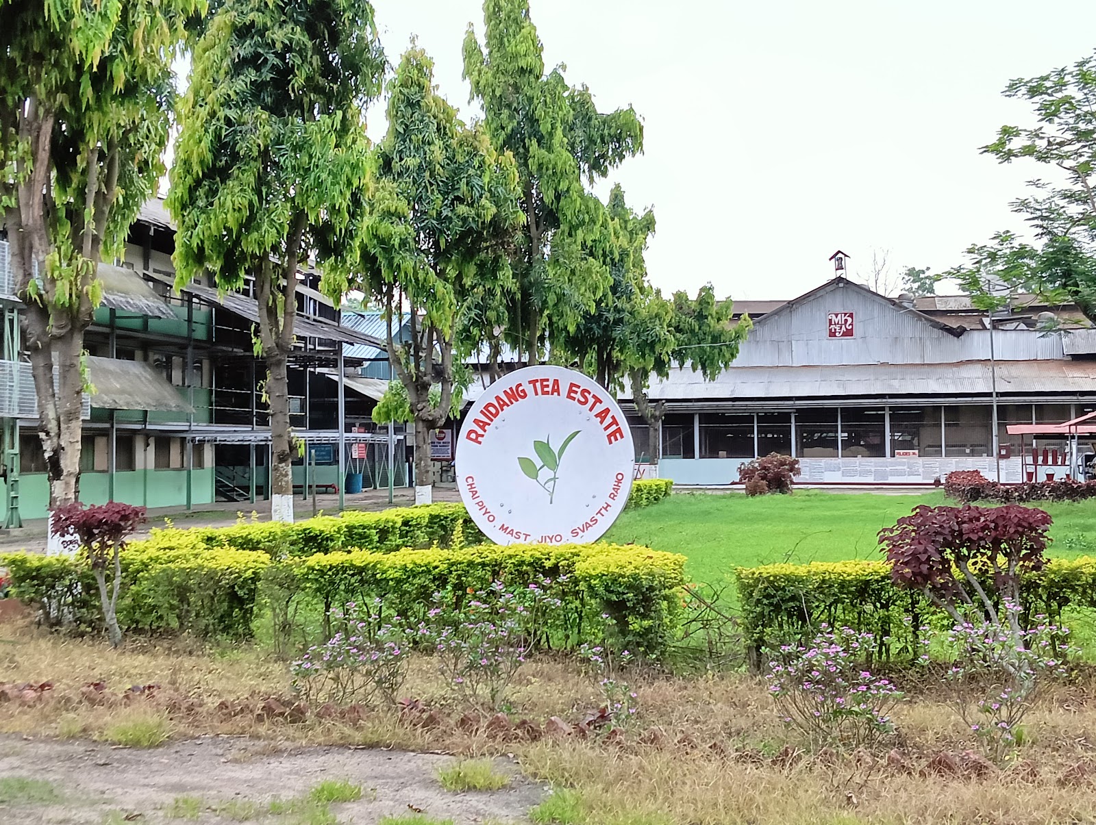 Raidang Tea Estate