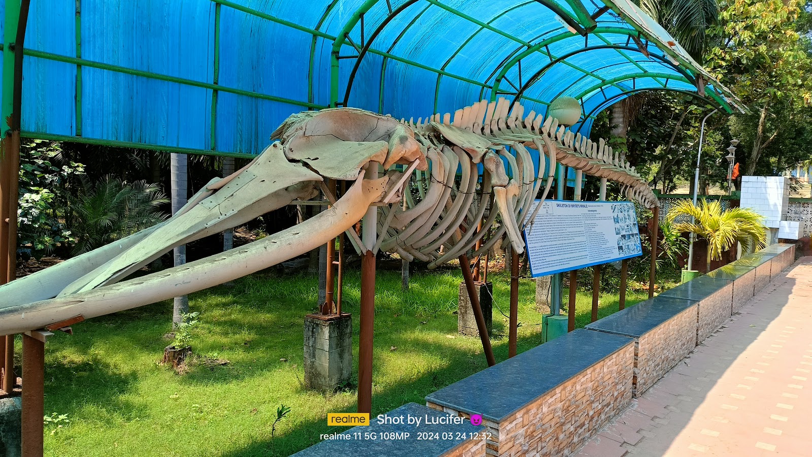 Marine Aquarium & Regional Centre