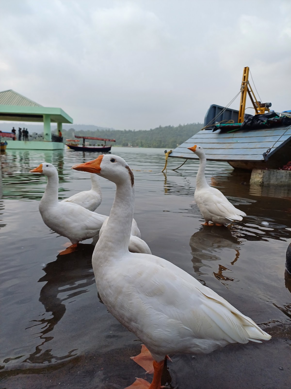 Dudhani, Dadra and Nagar Haveli, India