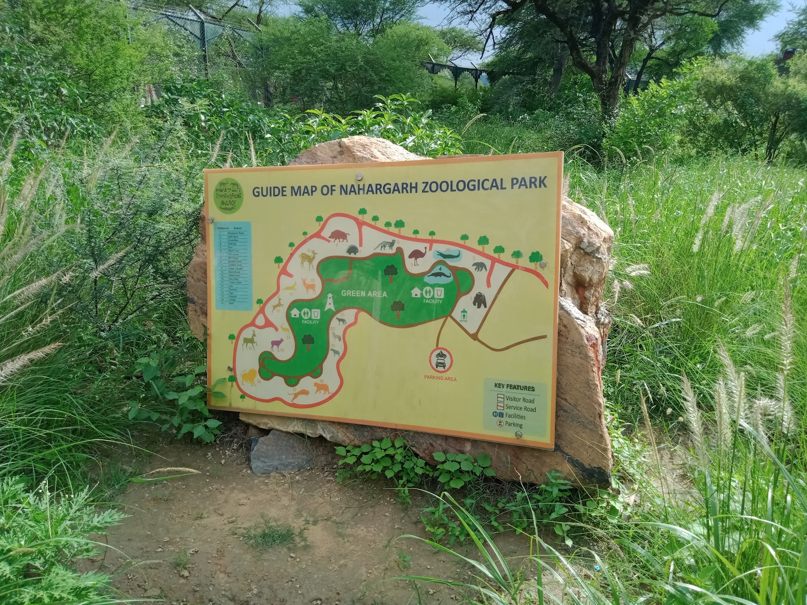Nahargarh Biological Park