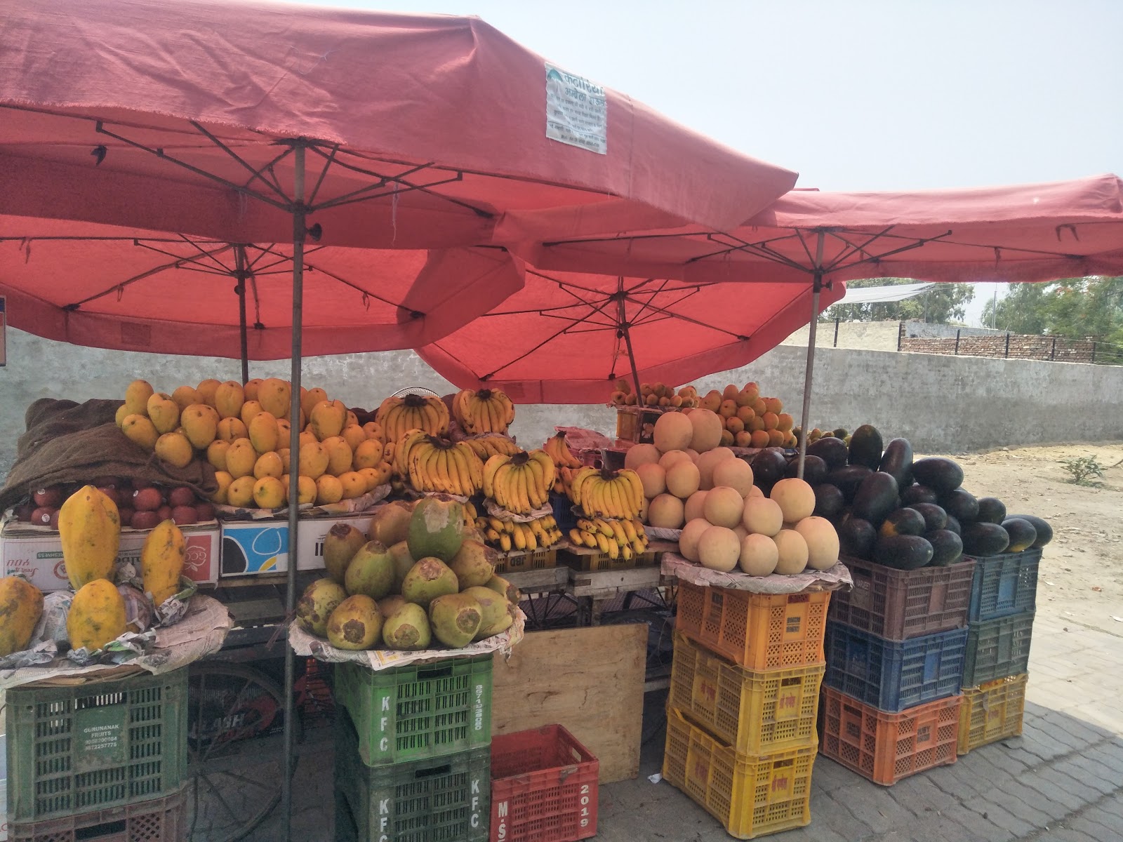Firozpur