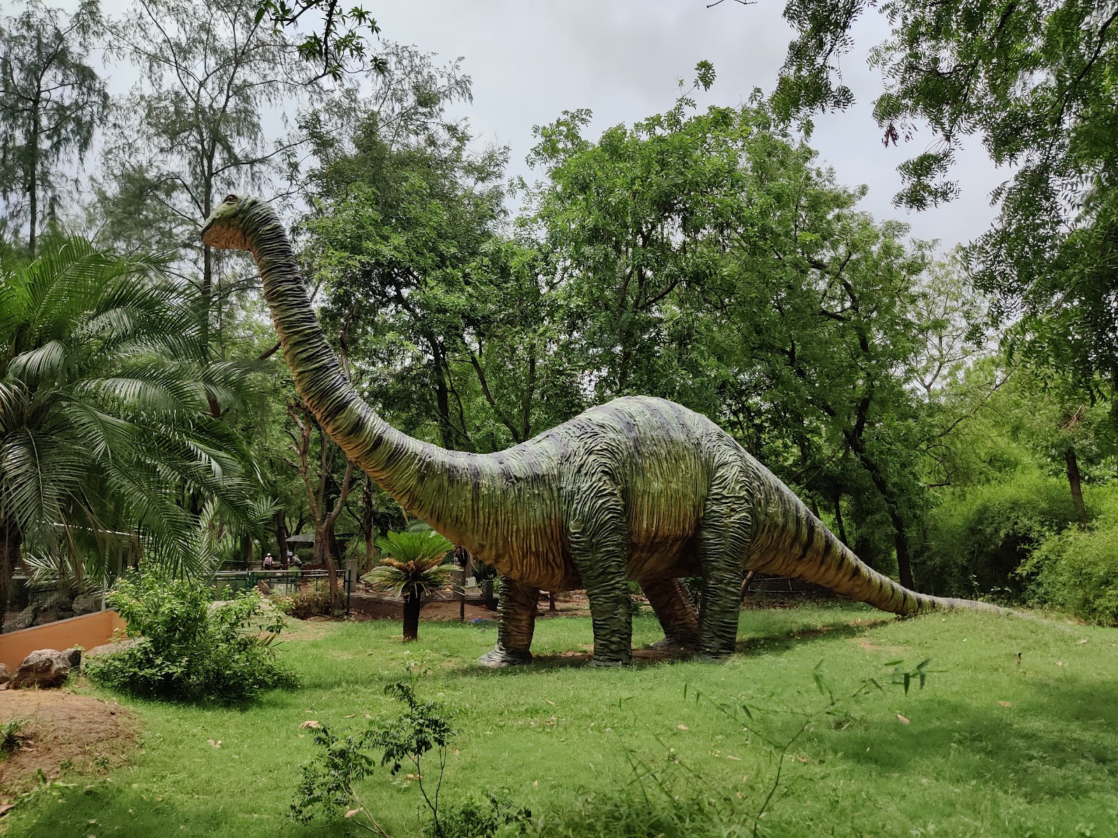 Dinosaur And Fossil Park Gandhinagar