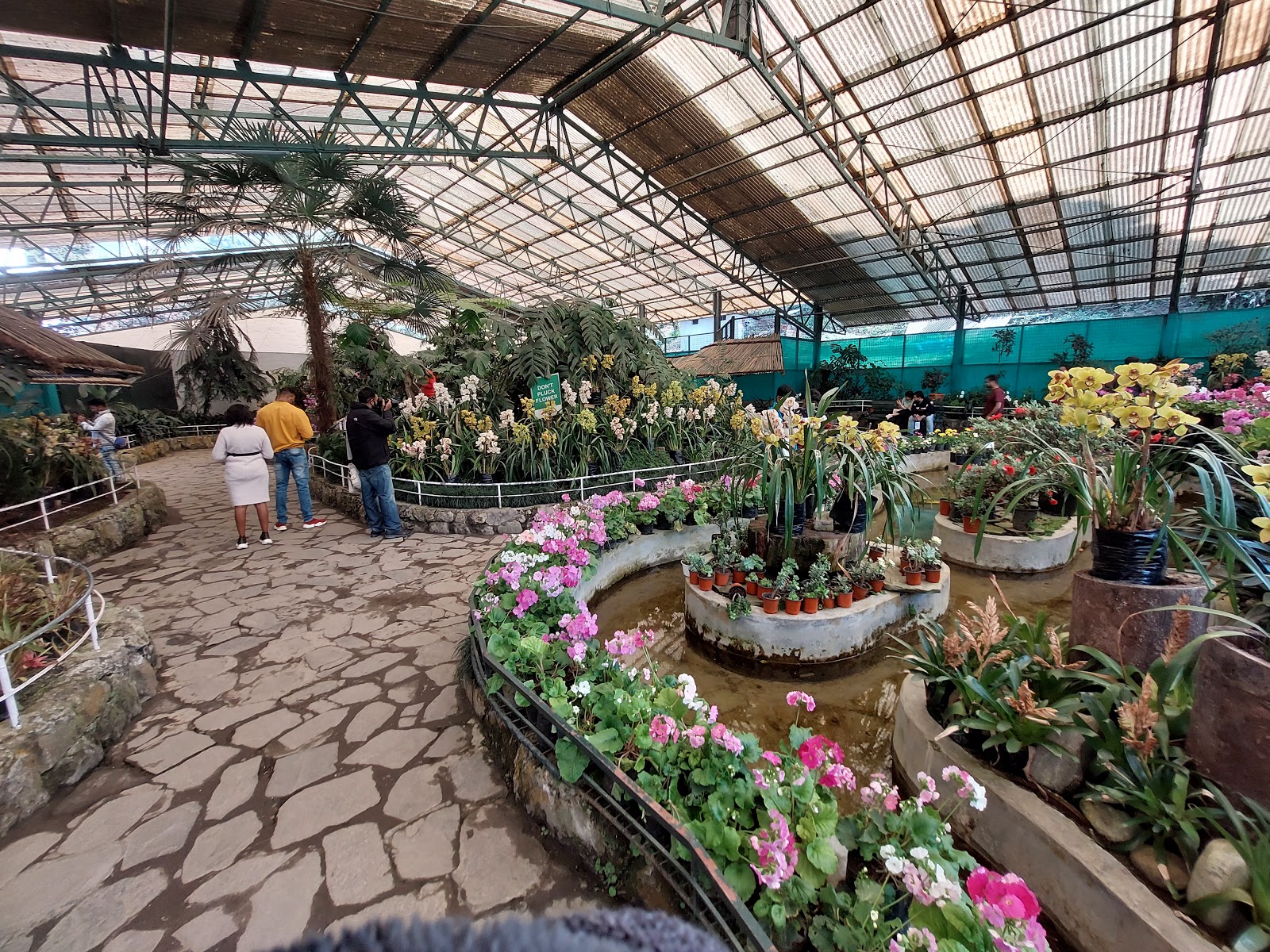 Flower Exhibition Centre - Ridge Park.