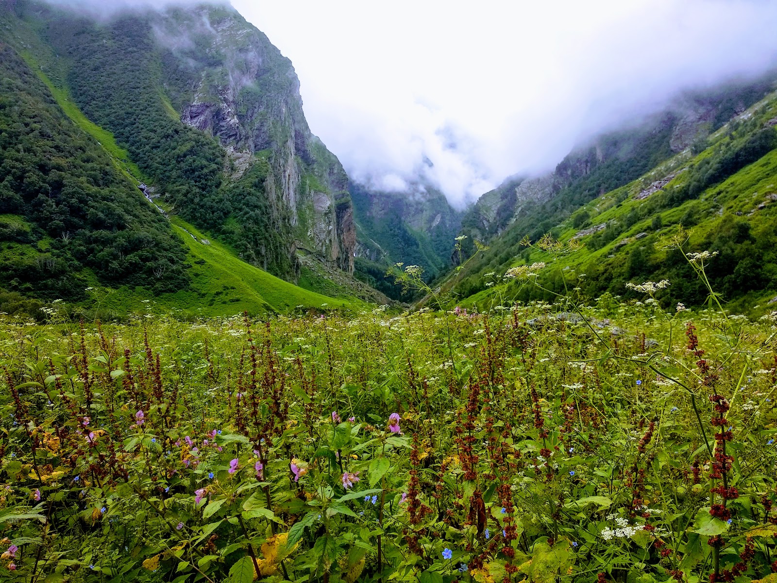 Nanda Devi National Park