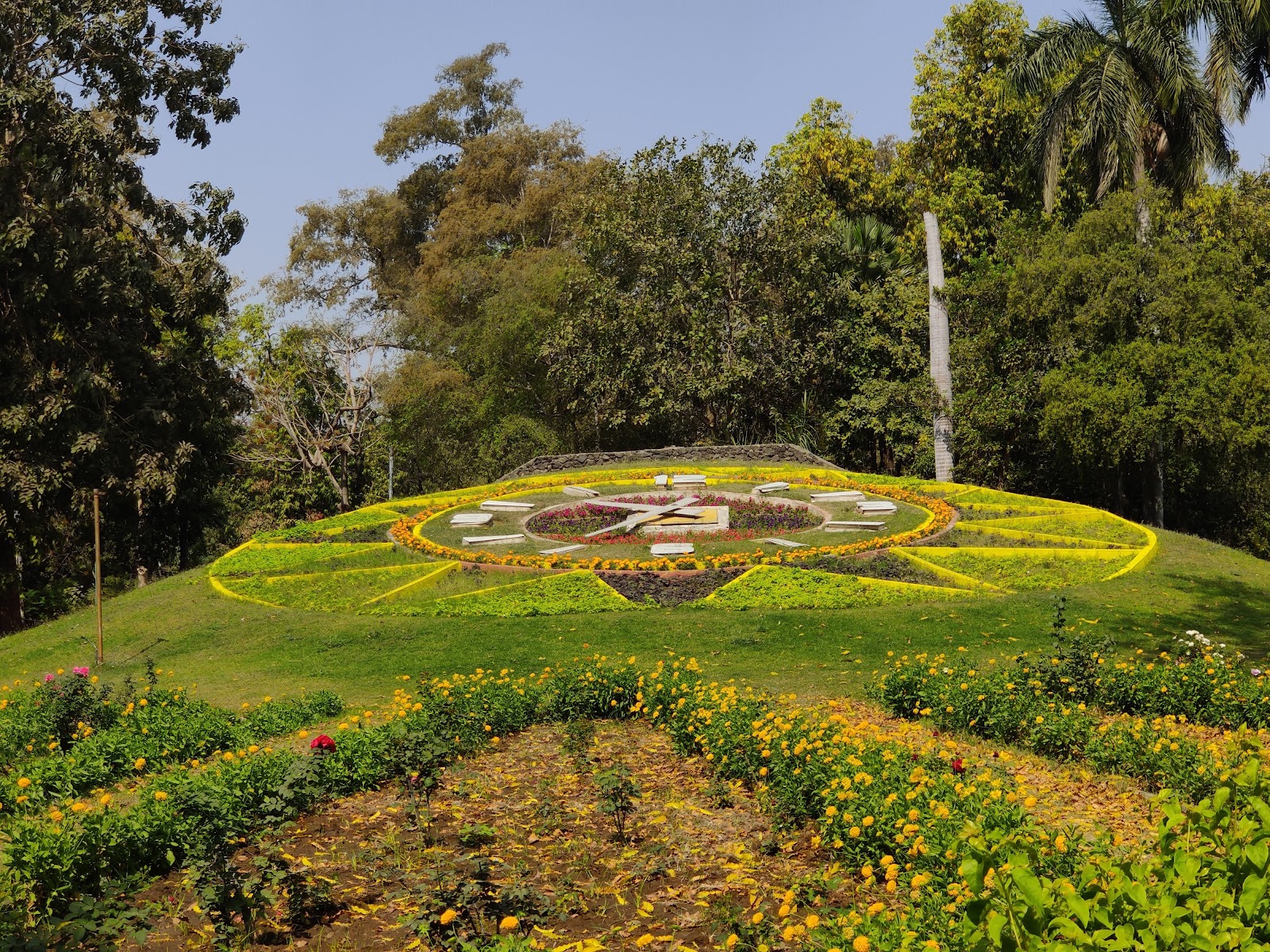 Sayaji Baug Zoo