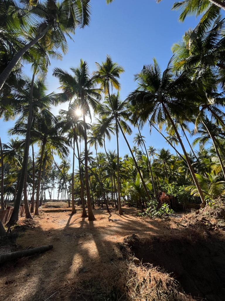 Guhagar Beach Resort