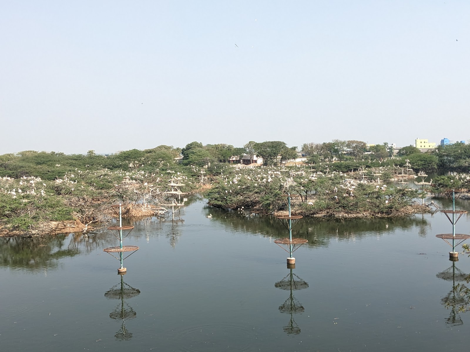 Uppalapadu Birds Protection Centre, Guntur