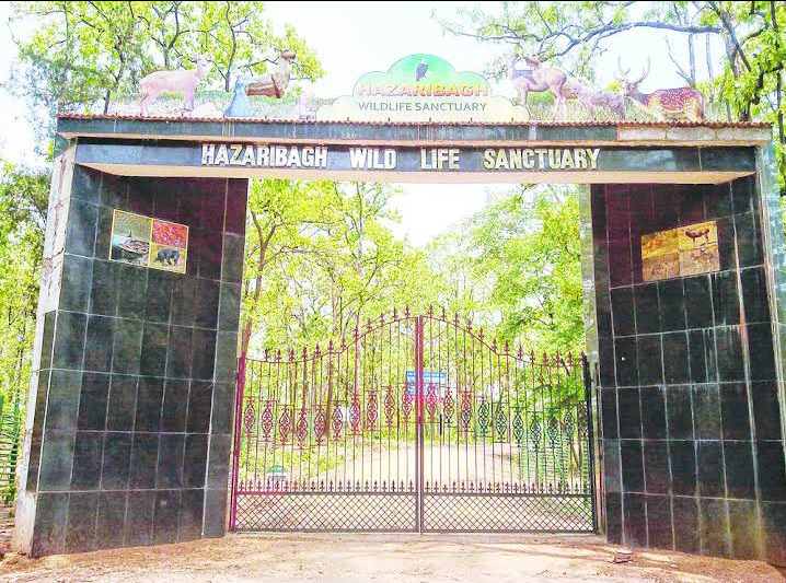 Hazaribagh Wildlife Sanctuary