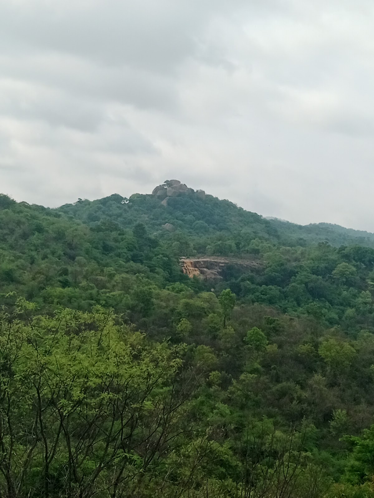 Melagiri Hills