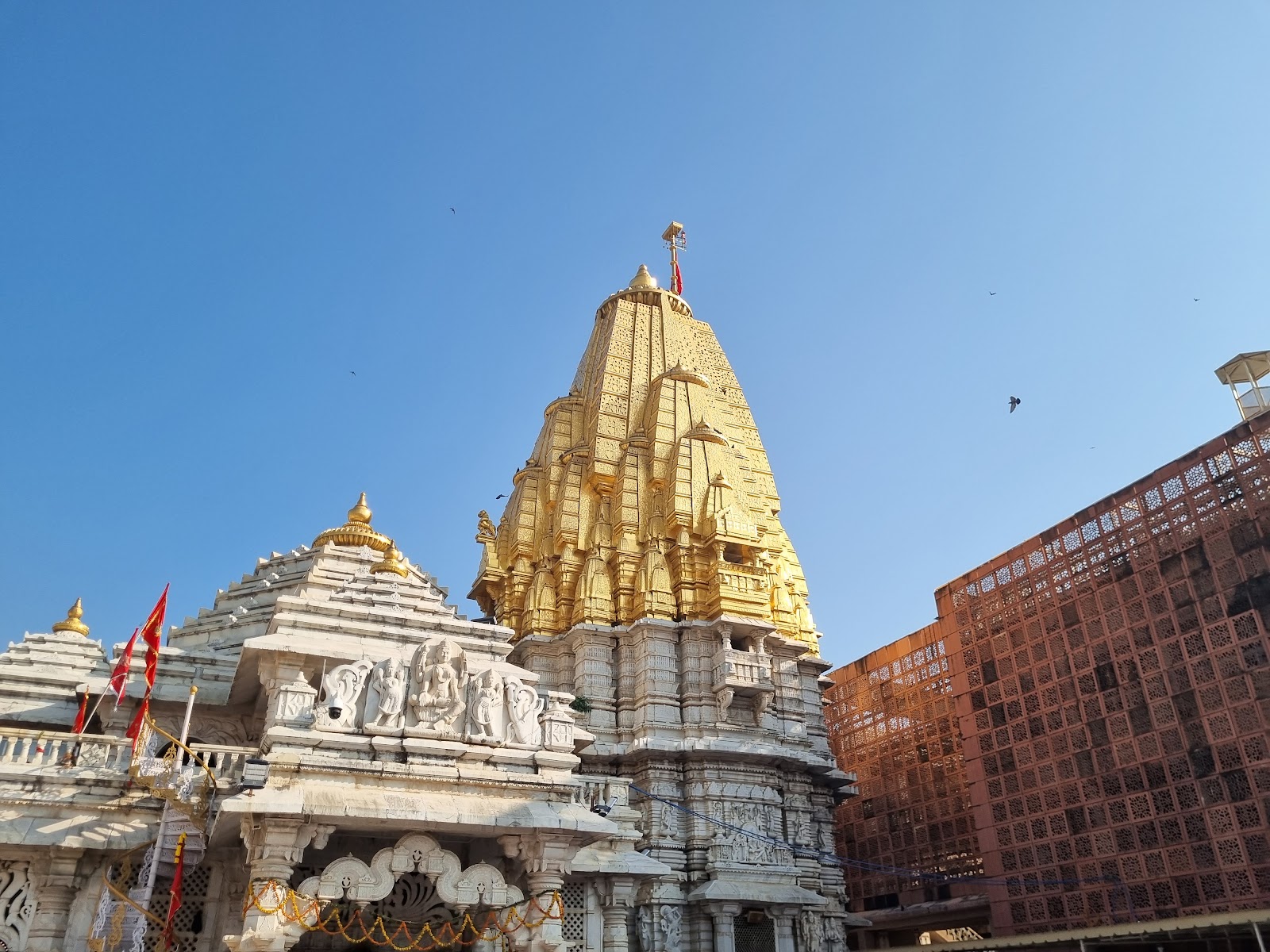 Shree Arasuri Ambaji Mata Devasthan Temple Trust