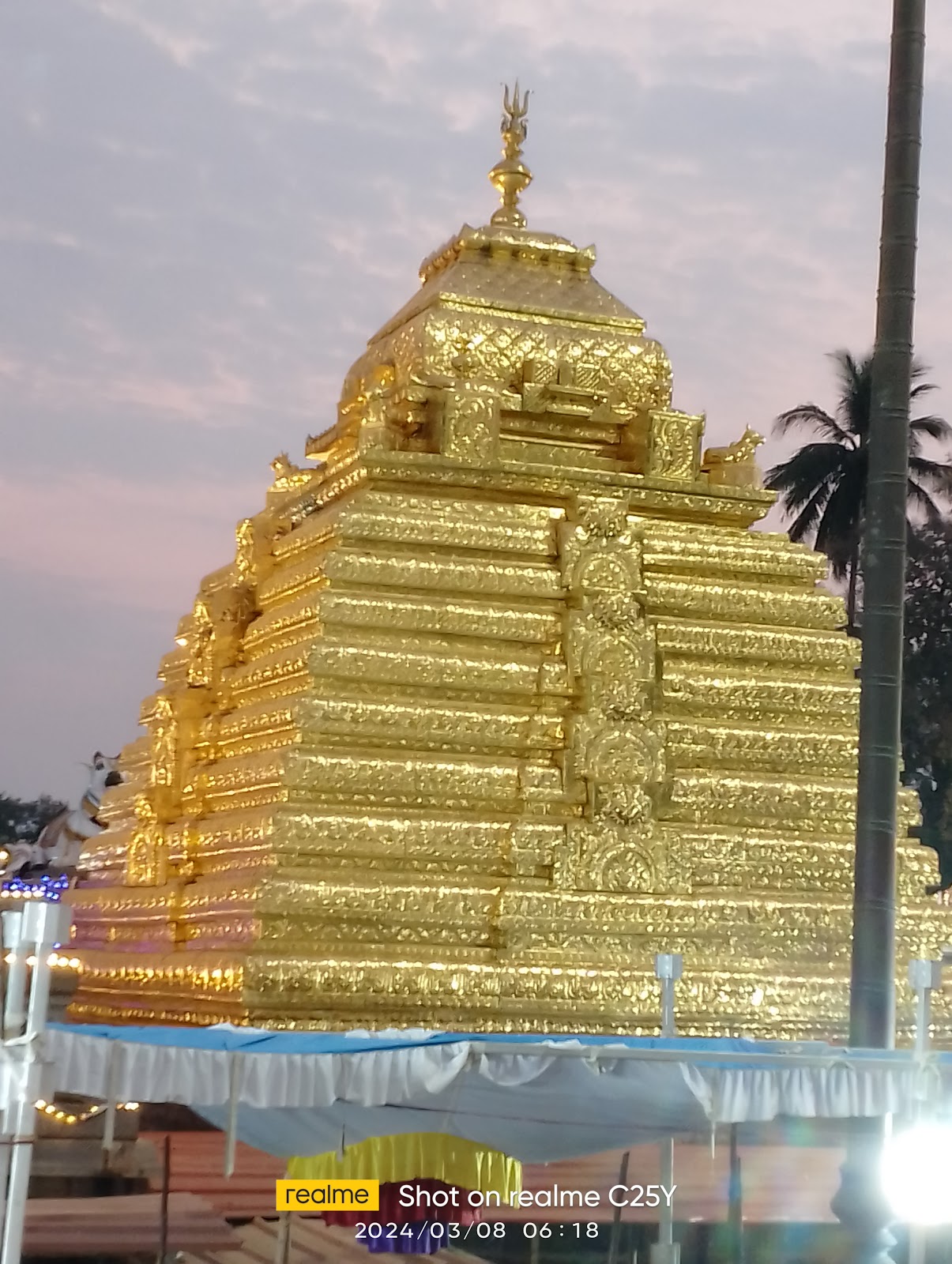 Sri Bhramaramba Mallikarjuna Swamy Varla Devasthanam
