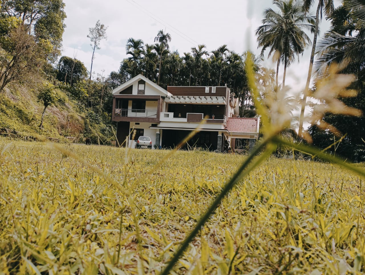 Padmambika Lodge Horanadu