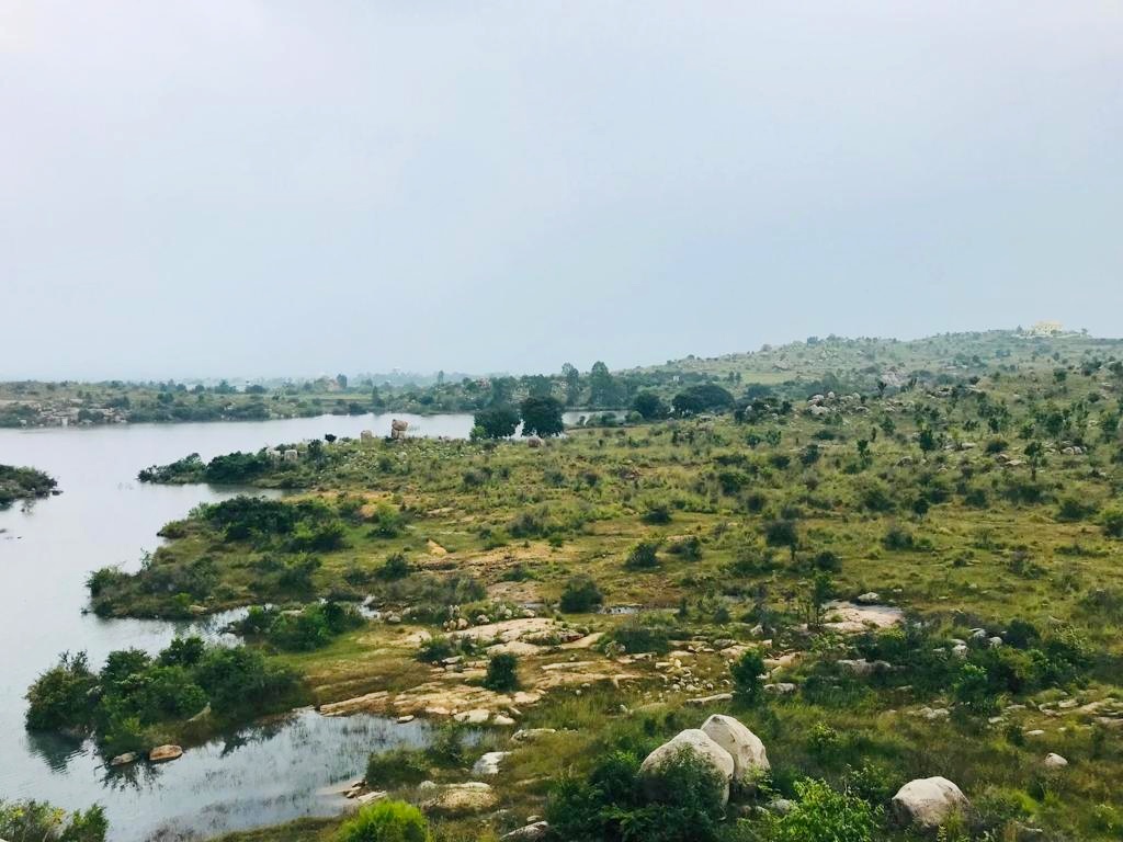 Madanapalle